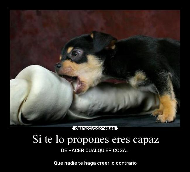 Si te lo propones eres capaz - 