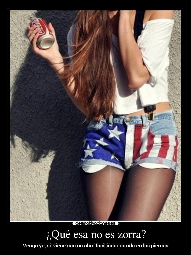 carteles 3810 falsas zorras desmotivaciones