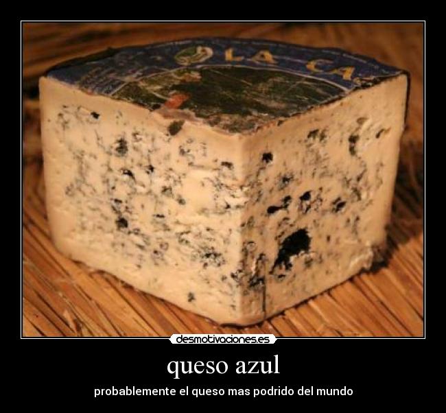 queso azul - probablemente el queso mas podrido del mundo