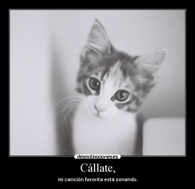 Cállate, - mi canción favorita está sonando.