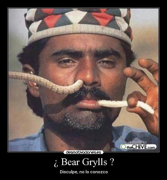 ¿ Bear Grylls ? - 