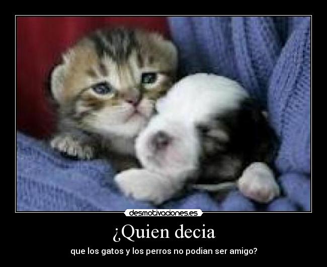 ¿Quien decia - 