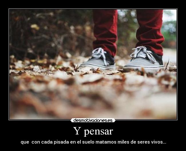 Y pensar - que  con cada pisada en el suelo matamos miles de seres vivos...