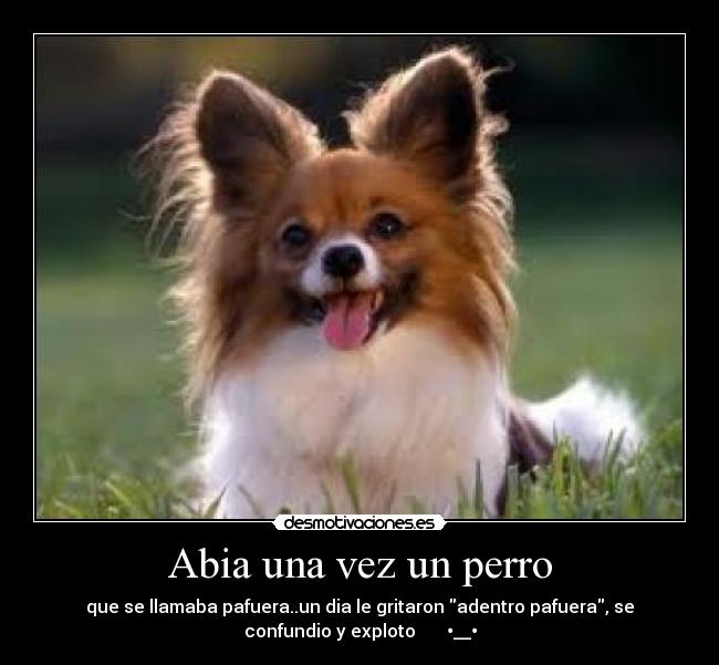 carteles perro desmotivaciones