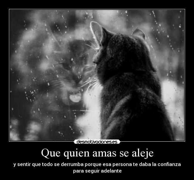 Que quien amas se aleje - y sentir que todo se derrumba porque esa persona te daba la confianza
para seguir adelante