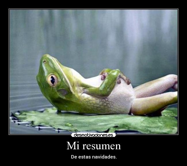 Mi resumen - De estas navidades.