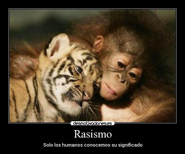 Rasismo - Solo los humanos conocemos su significado
