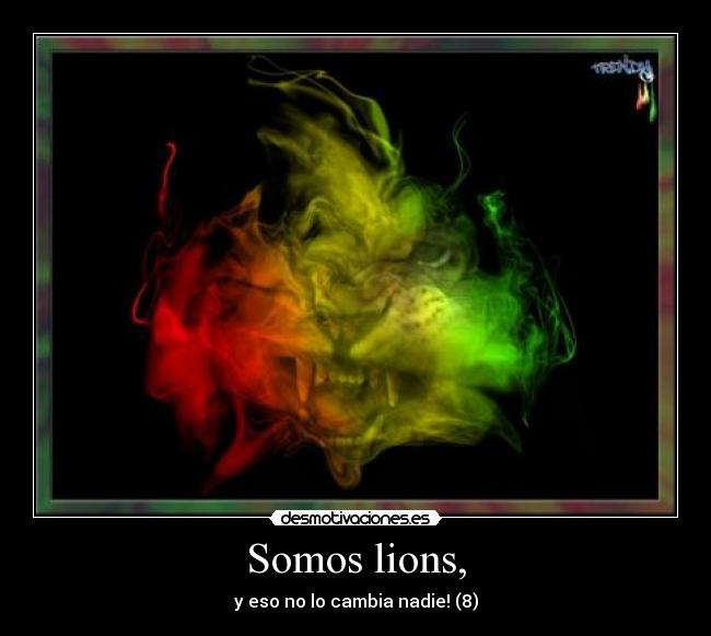 Somos lions, -