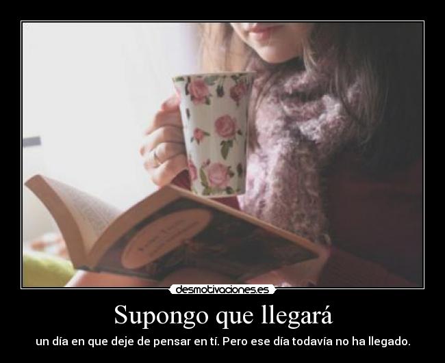 Supongo que llegará -