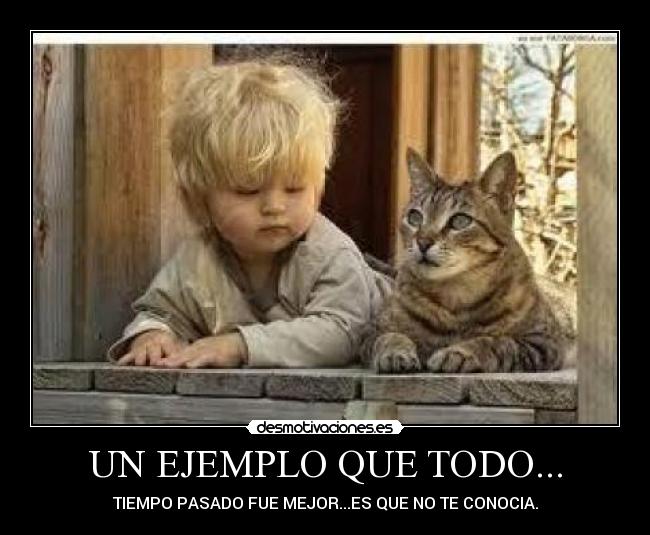 carteles recor desmotivaciones