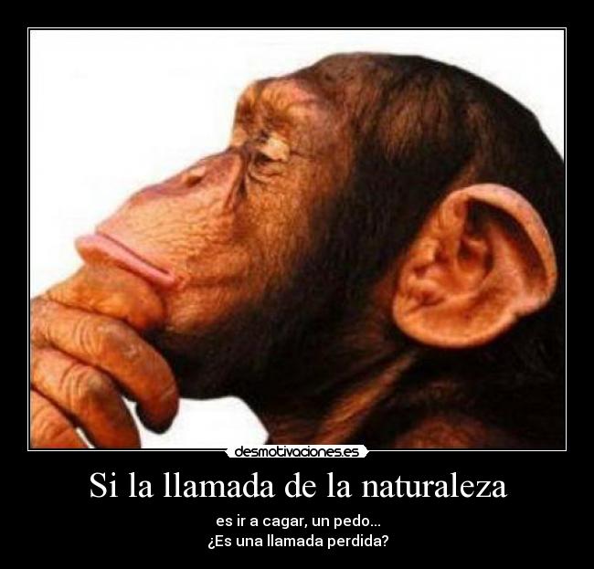 Si la llamada de la naturaleza - es ir a cagar, un pedo...
¿Es una llamada perdida?
