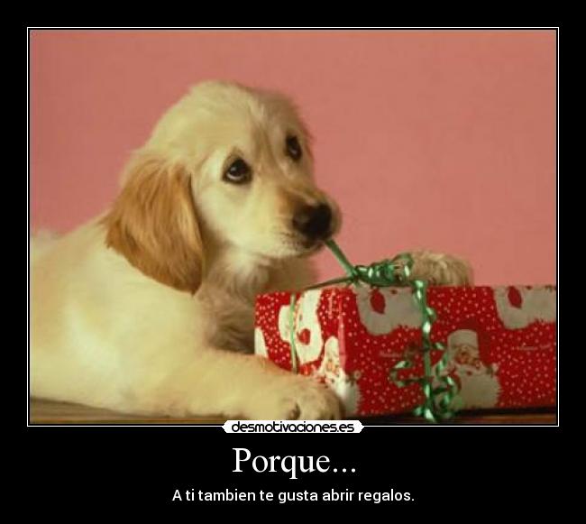Porque... -