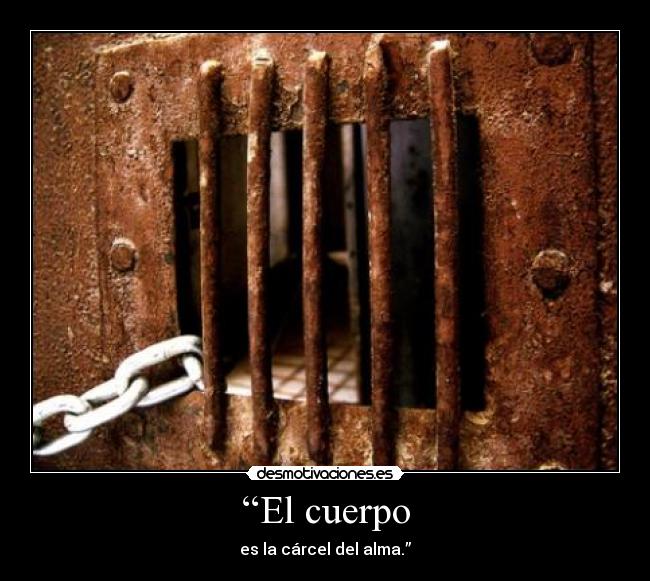 “El cuerpo - 