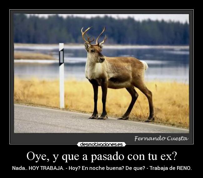 Oye, y que a pasado con tu ex? - Nada.. HOY TRABAJA. - Hoy? En noche buena? De que? - Trabaja de RENO.