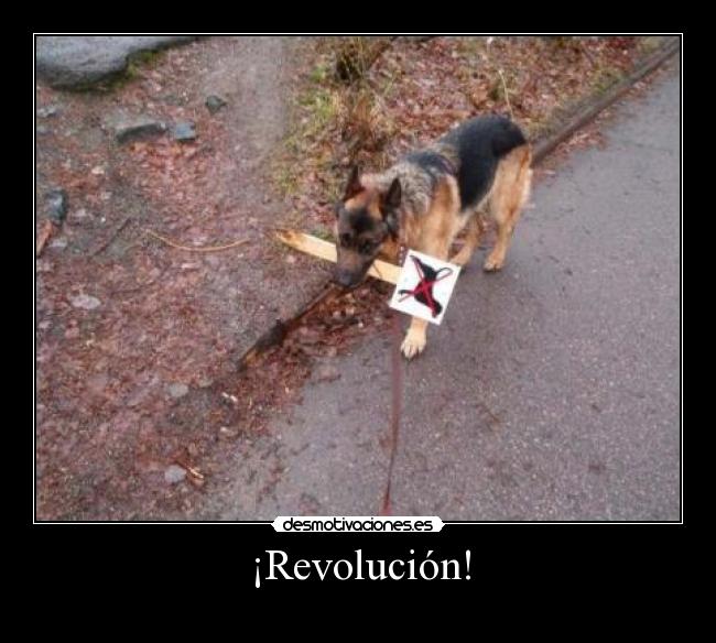 ¡Revolución! - 