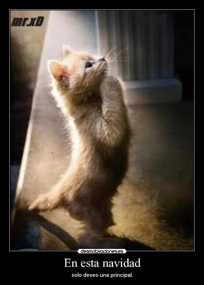 carteles navidad feliz navidad desmotivaciones