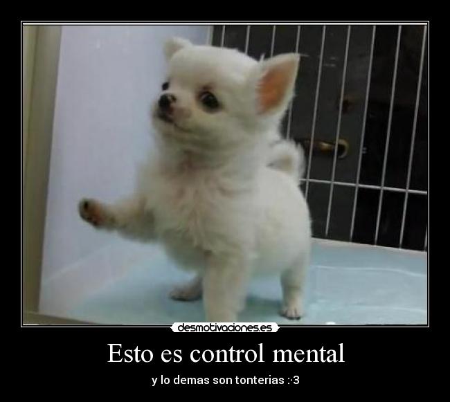 Esto es control mental - y lo demas son tonterias :·3