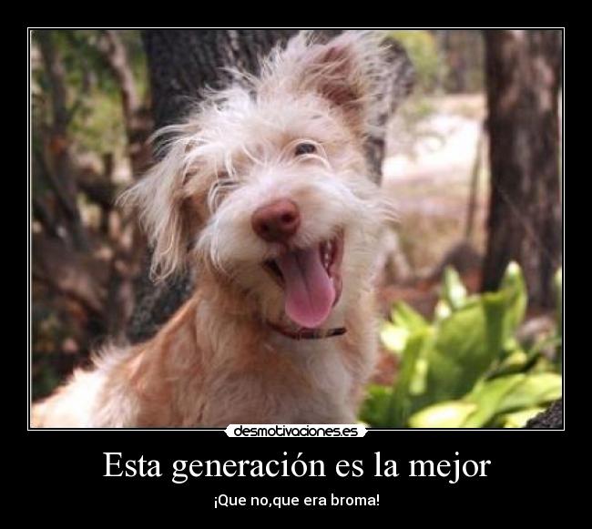 carteles asfg desmotivaciones