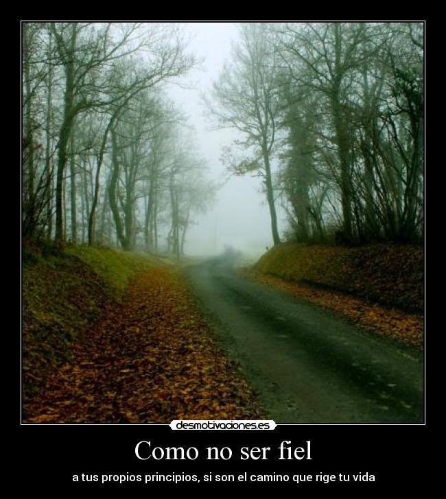 Como no ser fiel -