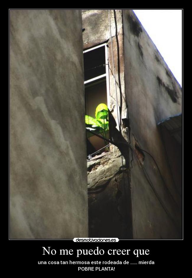 No me puedo creer que -