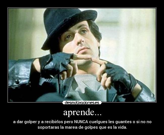 carteles mara salvatrucha desmotivaciones