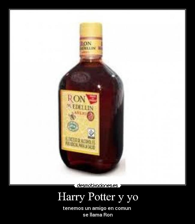 Harry Potter y yo - 
