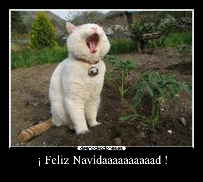 ¡ Feliz Navidaaaaaaaaaad ! - 