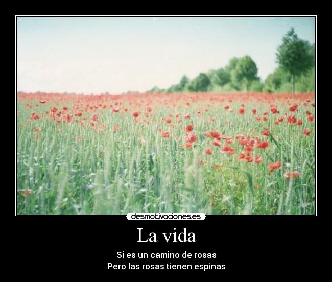 La vida - Si es un camino de rosas
Pero las rosas tienen espinas