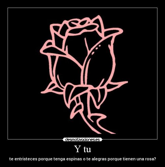 Y tu - te entristeces porque tenga espinas o te alegras porque tienen una rosa?