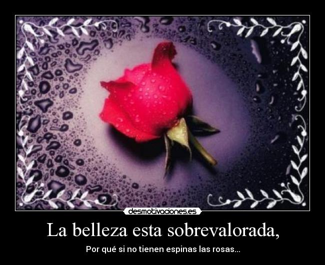 La belleza esta sobrevalorada, - Por qué si no tienen espinas las rosas...