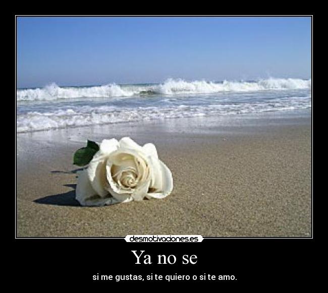 Ya no se - si me gustas, si te quiero o si te amo.