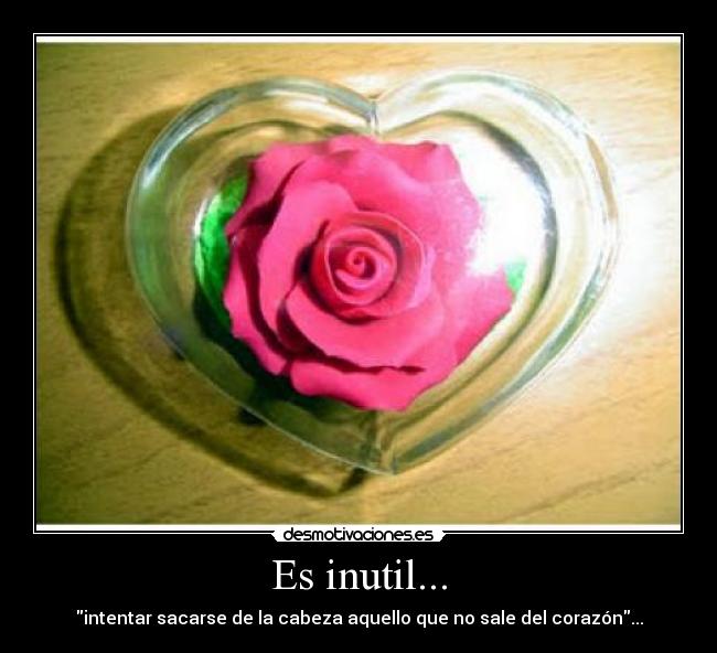 Es inutil... - intentar sacarse de la cabeza aquello que no sale del corazón...
