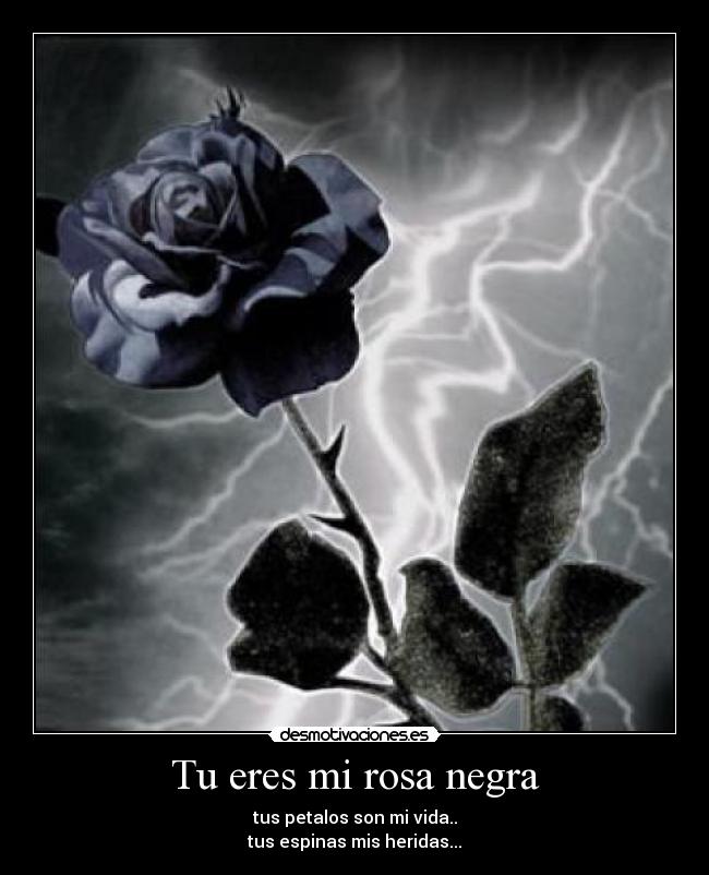 Tu eres mi rosa negra - tus petalos son mi vida..
tus espinas mis heridas...