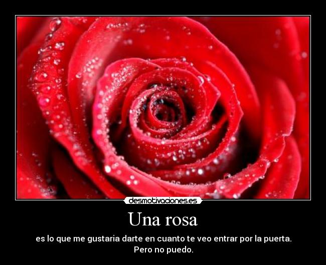 carteles puerta desmotivaciones