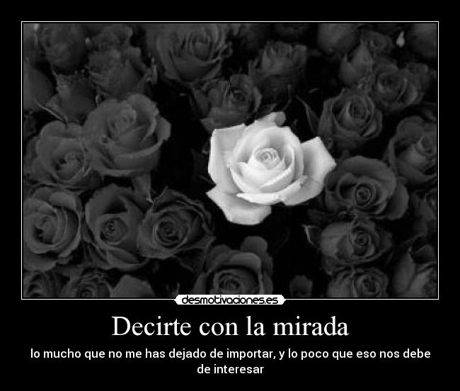 Decirte con la mirada - 