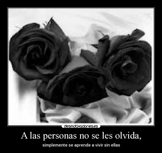 A las personas no se les olvida, - simplemente se aprende a vivir sin ellas