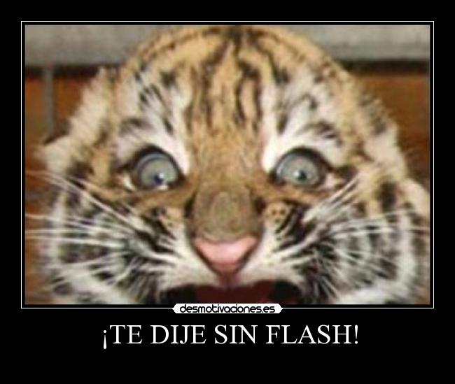 ¡TE DIJE SIN FLASH! - 