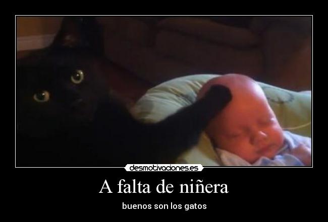 A falta de niñera - buenos son los gatos
