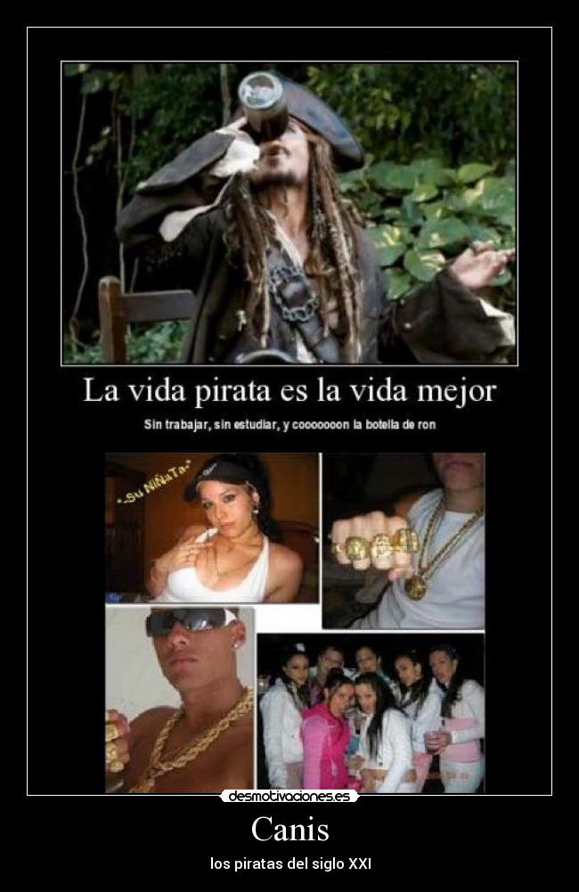 Canis - los piratas del siglo XXI