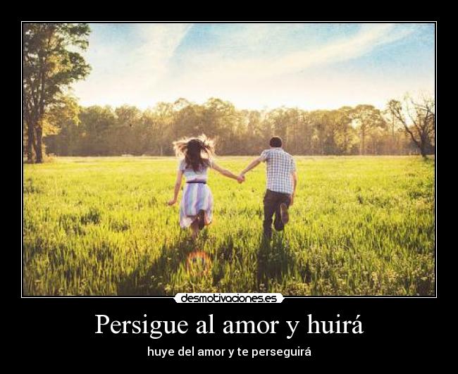 carteles amor amor huir perseguir dsa desmotivaciones