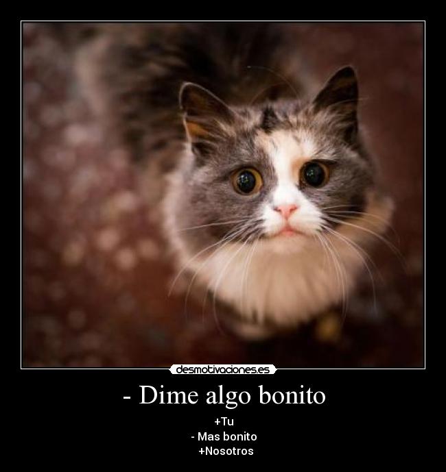  Dime algo bonito Desmotivaciones