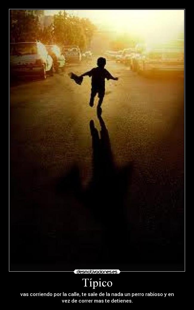 Típico - vas corriendo por la calle, te sale de la nada un perro rabioso y en
vez de correr mas te detienes.