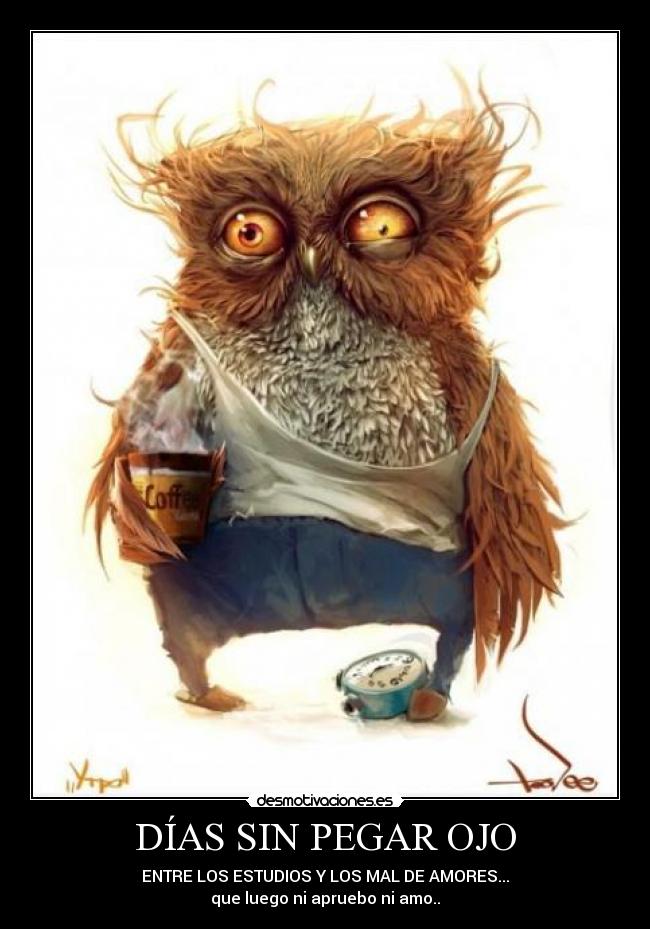 carteles enanitah desmotivaciones