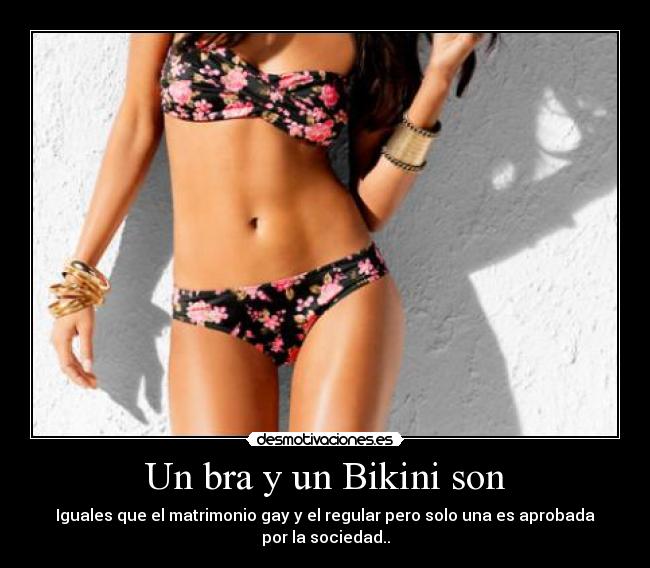 Un bra y un Bikini son - Iguales que el matrimonio gay y el regular pero solo una es aprobada por la sociedad..