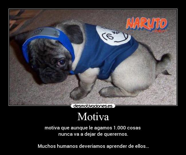 carteles naruto mascotas desmotivaciones