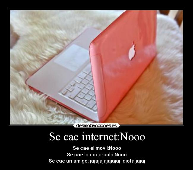 carteles cae intertnet desmotivaciones