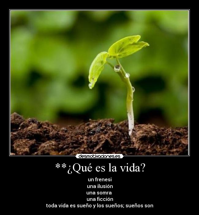 **¿Qué es la vida? -