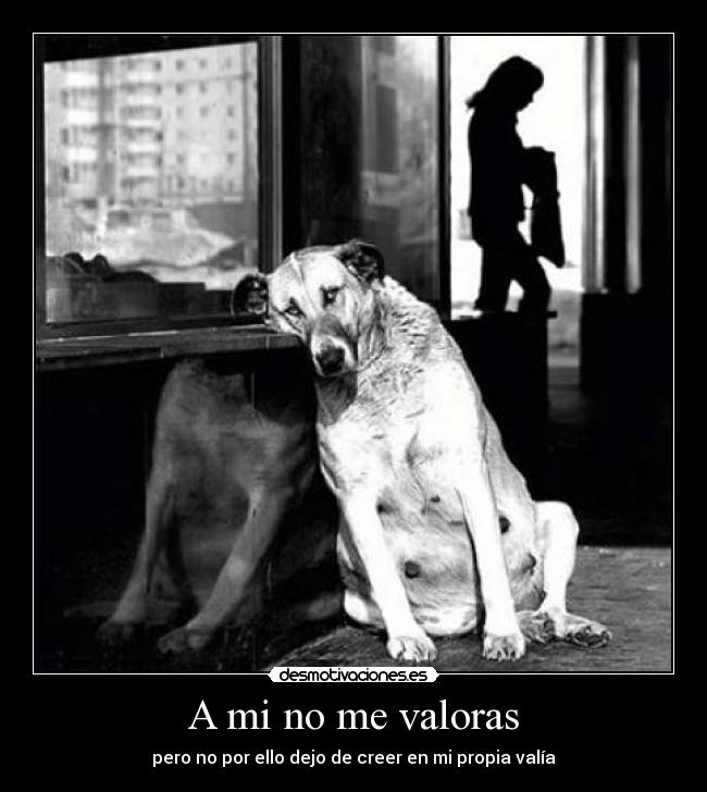 A mi no me valoras - pero no por ello dejo de creer en mi propia valía
