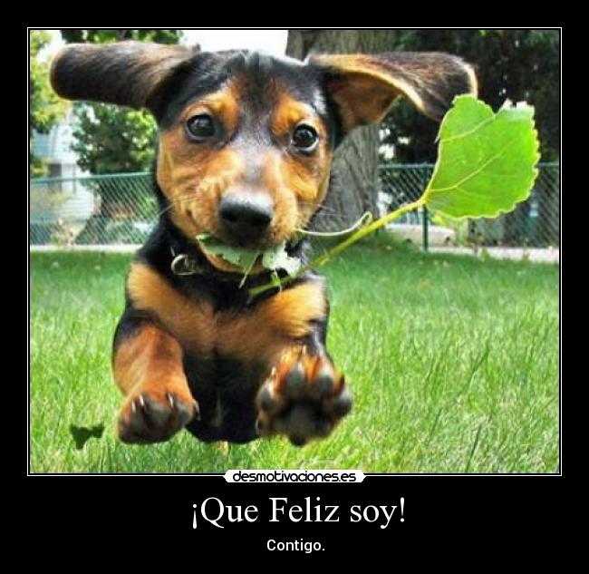 ¡Que Feliz soy! - Contigo.