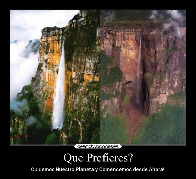Que Prefieres? -